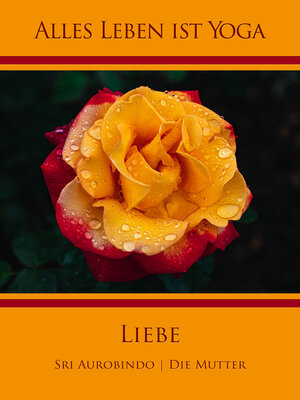 cover image of Liebe